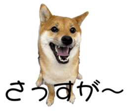 655185902