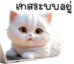 655202761