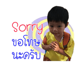 65520311