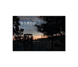 655207585
