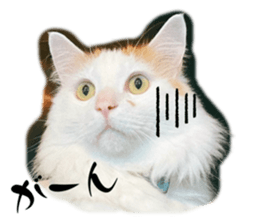655225828
