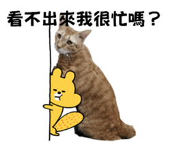 655236310