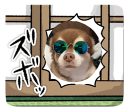 655239318