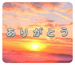 655240545