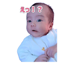 655243884