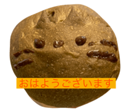 655246557