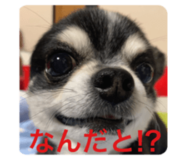 655246901