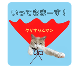 655254897