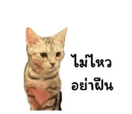 655255772