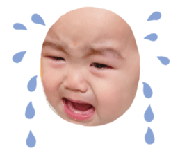 655262310