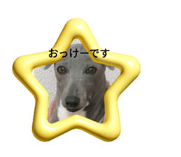 655263430
