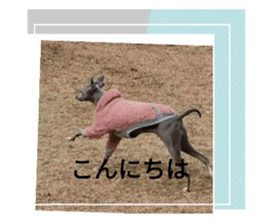 655263434