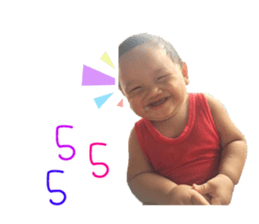 65526623