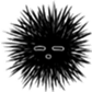 655273480