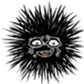655273509