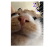 655273546