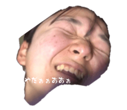 655273994