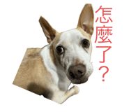655284166