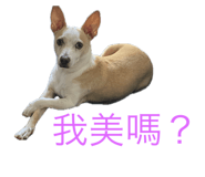655284169
