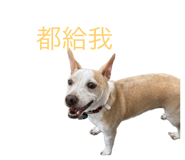 655284171
