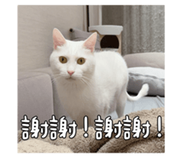 655287551