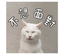 655287563
