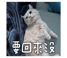 655287569