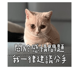655287576