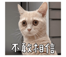 655287581