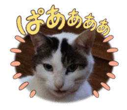 655317618