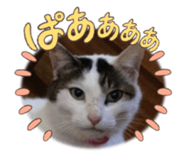 655317629
