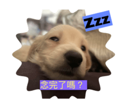 655326919