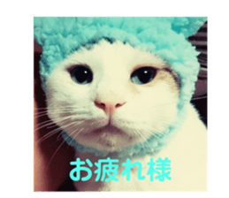 655327318