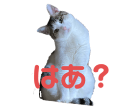 655327319