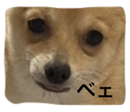 655335273
