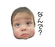 655347567