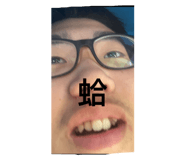 655357216