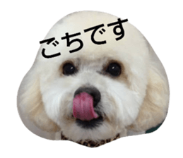 655357854