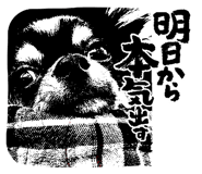 655358103