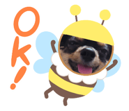 655358106