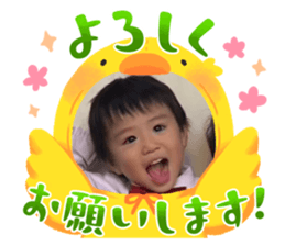655371732