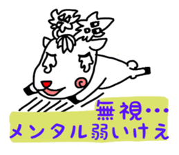655388