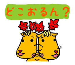 655397