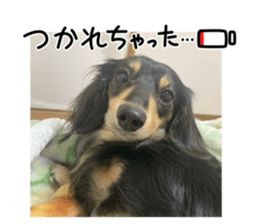 655424123