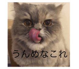 655428972