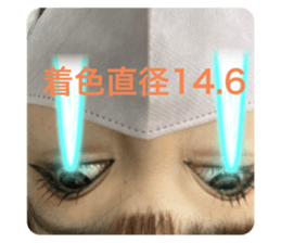 655434700