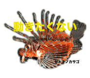 655437753