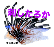 655437755