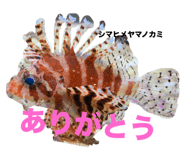 655437757