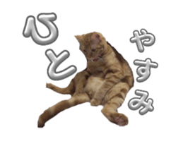 655439110